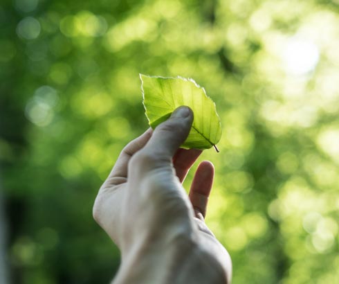 A empresa Positiva RS